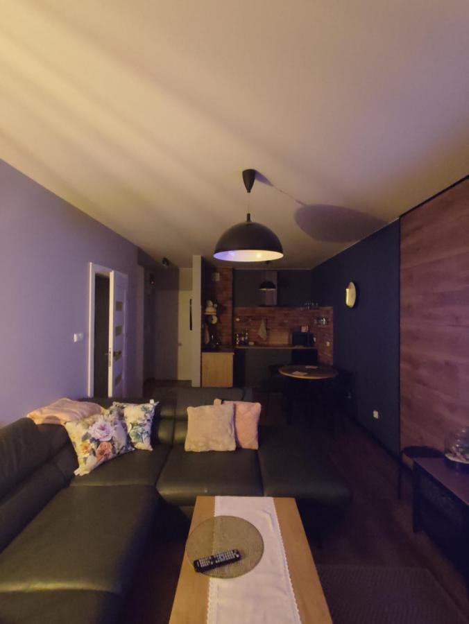 Lux Apartament Odkryj - Bieszczady Ustrzyki Dolne Exteriér fotografie